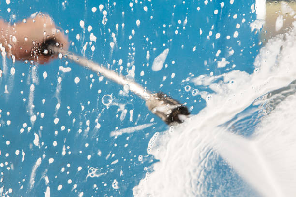 Best Animal Enclosure Cleaning  in Skagway, AK