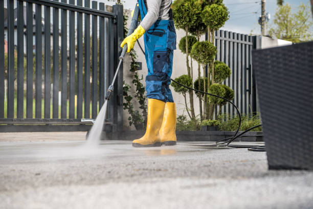 Best House Exterior Washing  in Skagway, AK